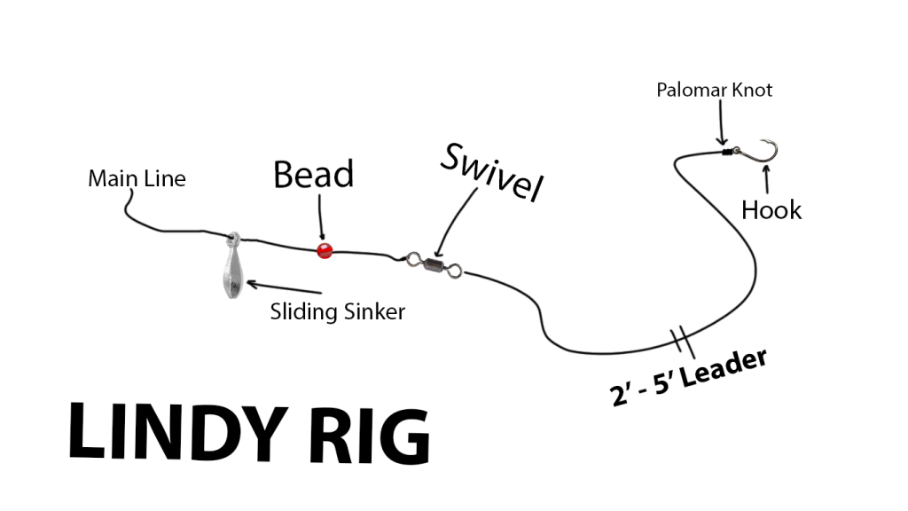 How To Tie Lindy Rig