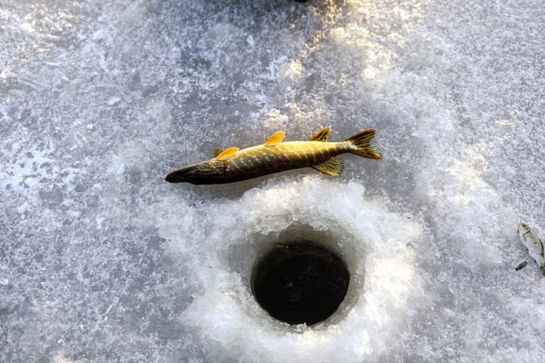 How To Ice Fish (Complete Guide)