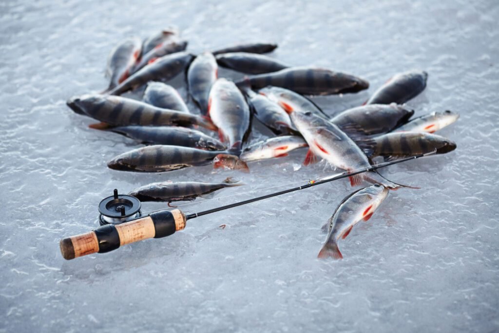 Ice Fishing Gear For Beginners