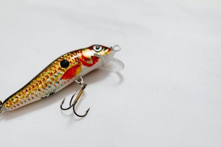 How To Make Your Own Fishing Lures From Household Items – Easy Guide